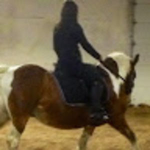 Meet your Posher, Jessie